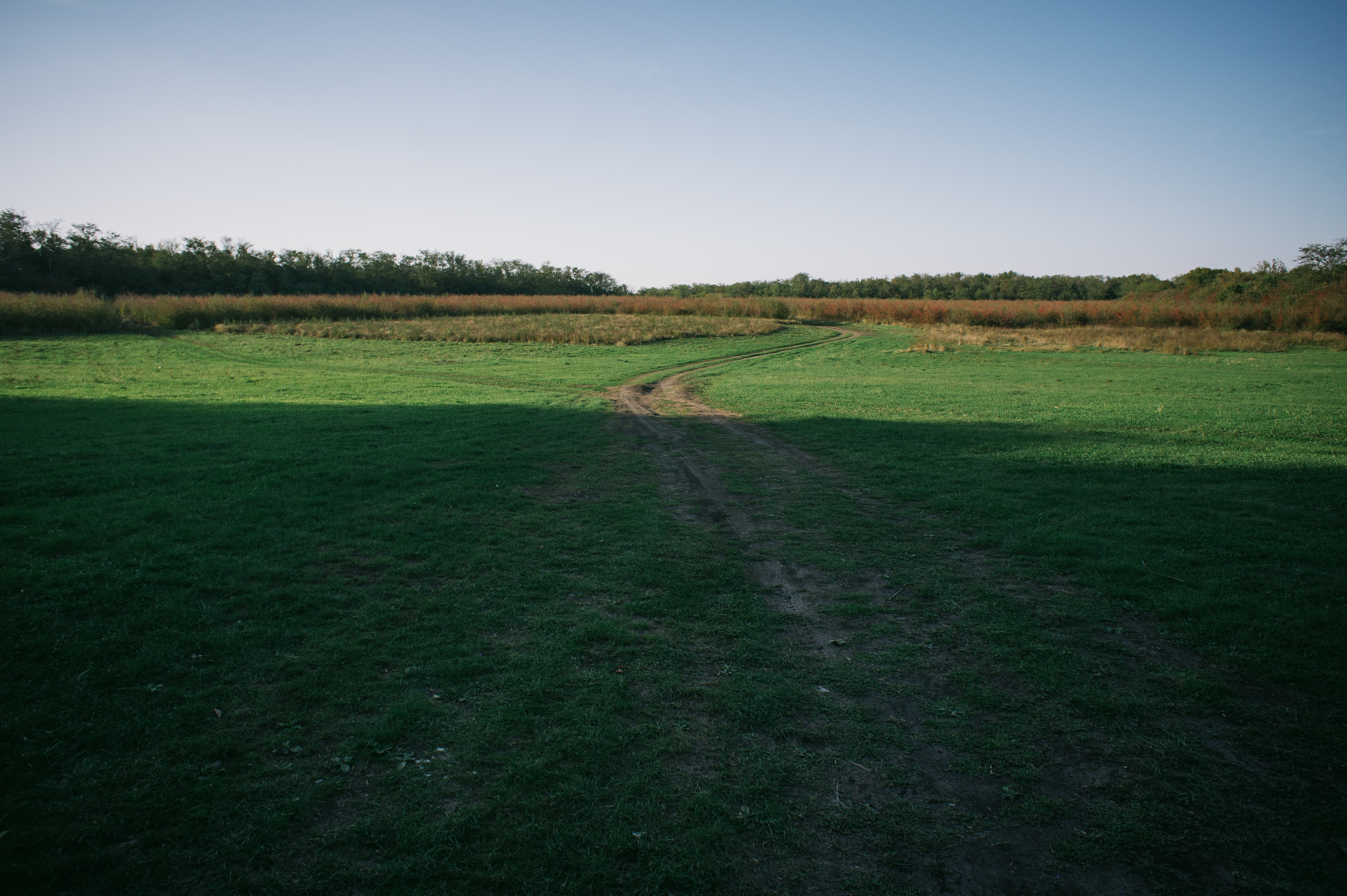 Поляна в Челбасском лесу