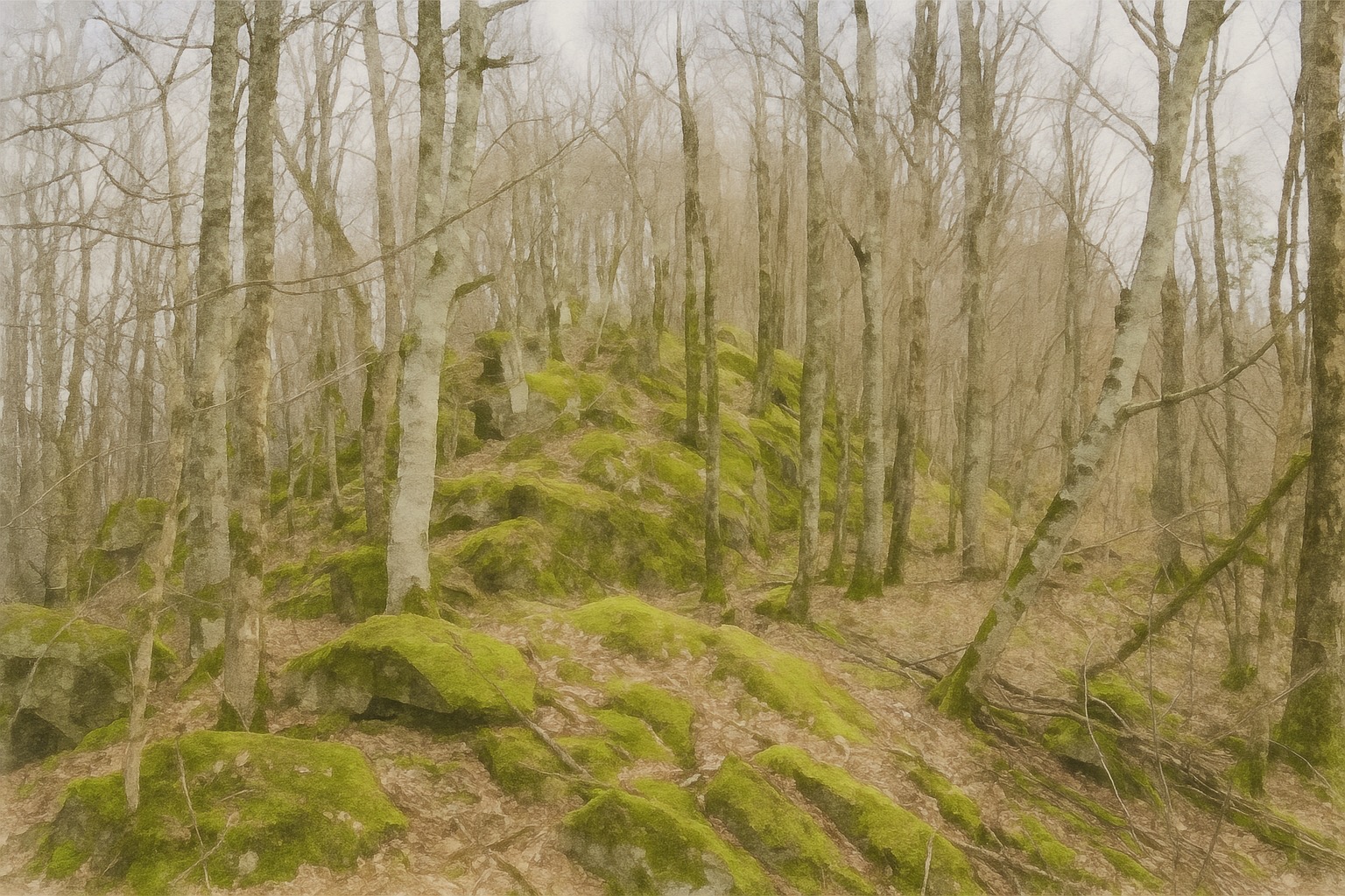 Хребет Крепость